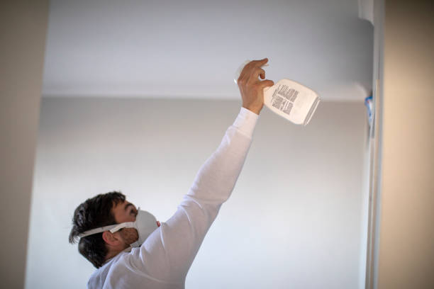 Home Mold Removal in Brewster, WA